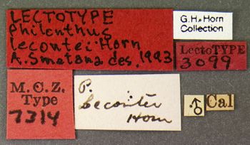 Media type: image;   Entomology 7314 Aspect: labels